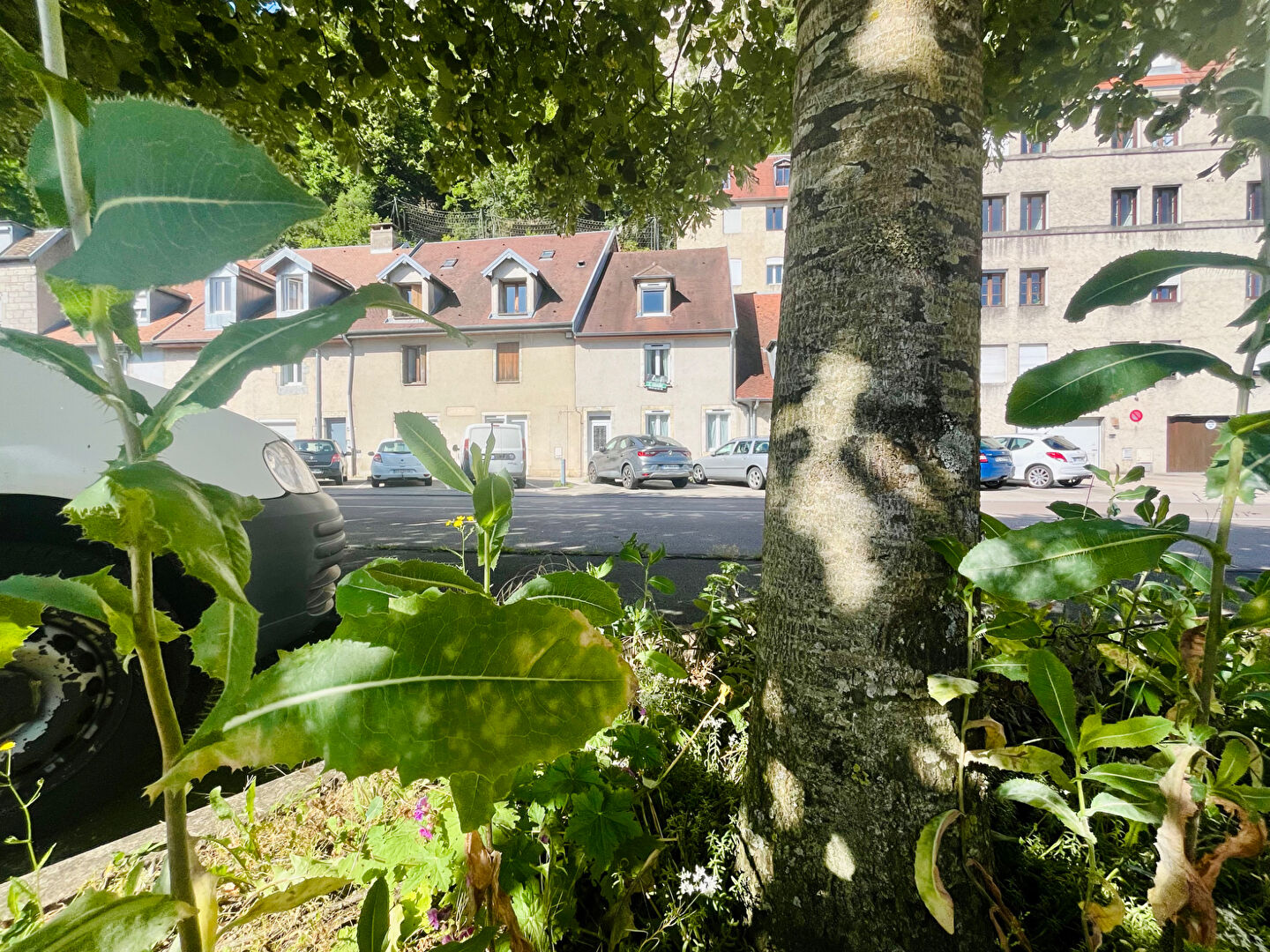 Maison mitoyenne au bord du Doubs